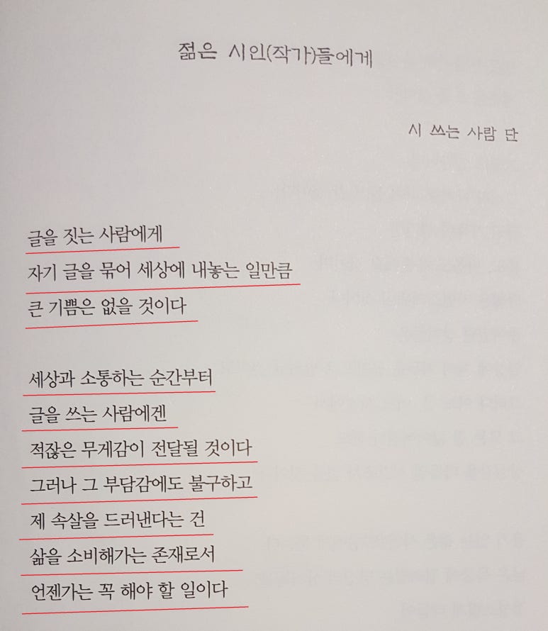 비앤피컬쳐 이미지