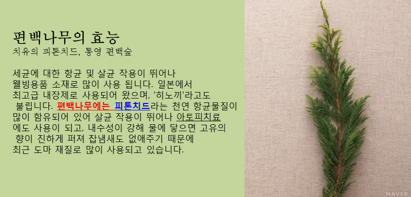 (주)휴즈 이미지