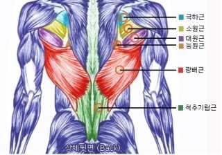 워너핏 이미지