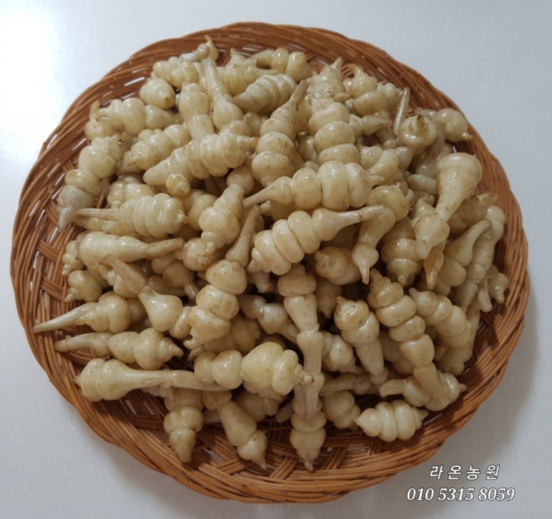 라온농원 이미지