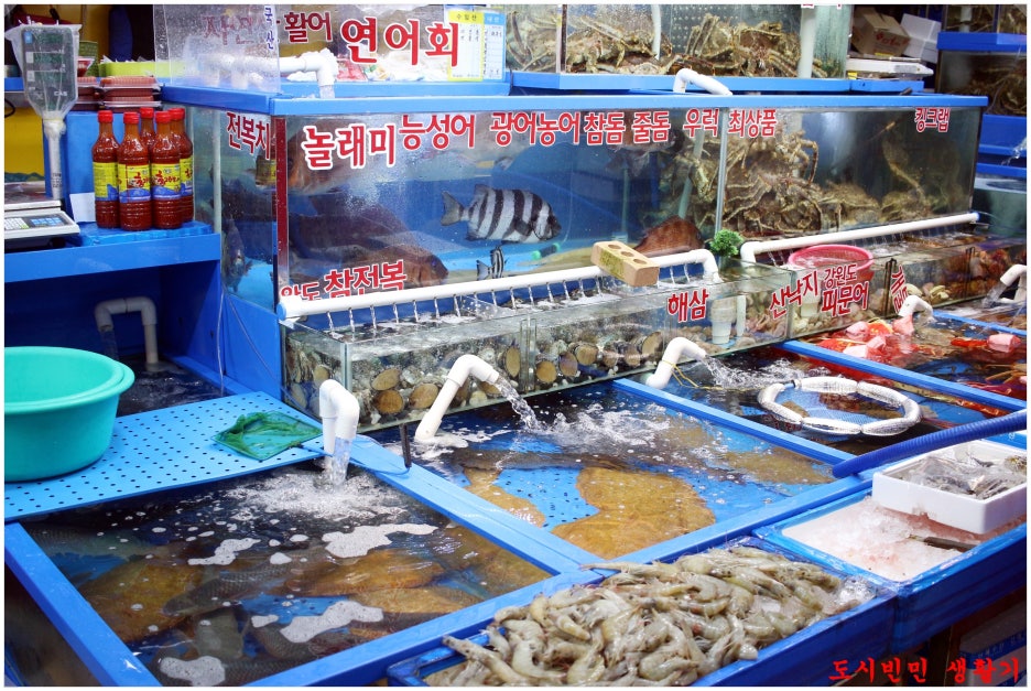 재하수산 이미지