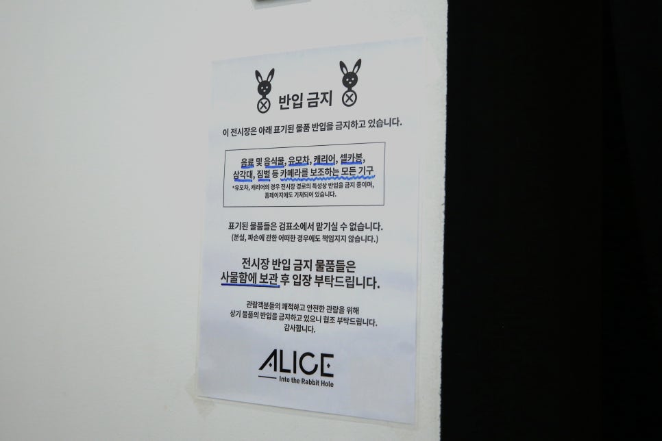 앨리스포레 이미지
