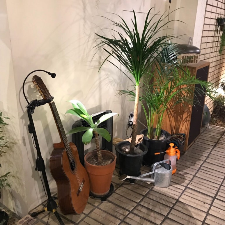 수르기 이미지