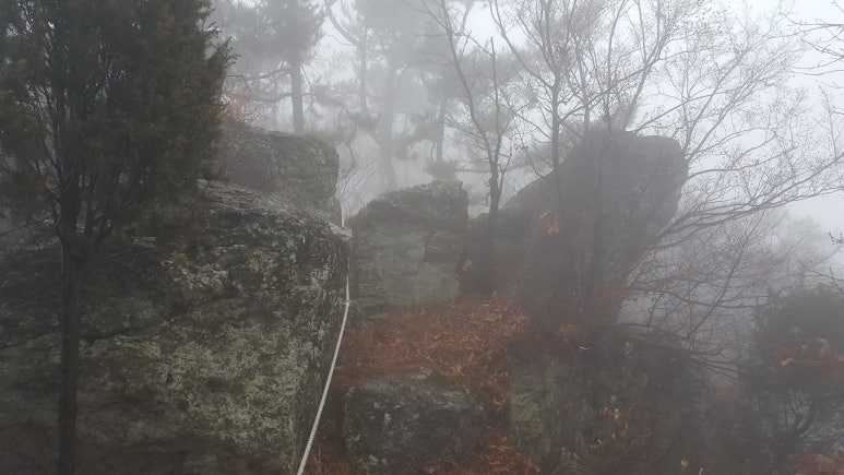 정의산업주 이미지