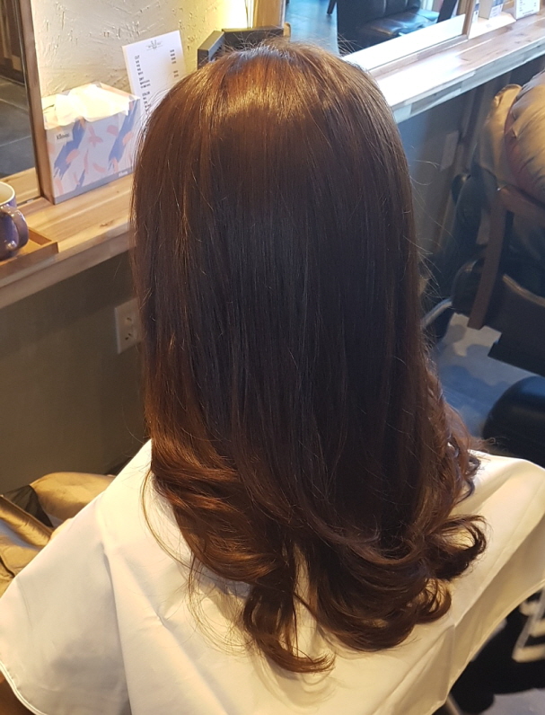 살롱드스텔라 이미지