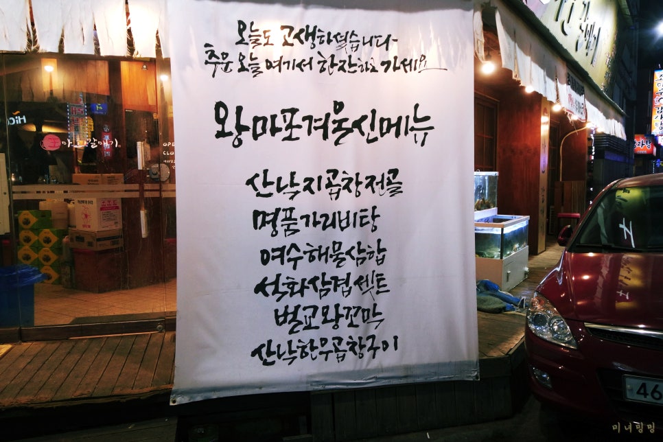 왕마포갈매기 이미지
