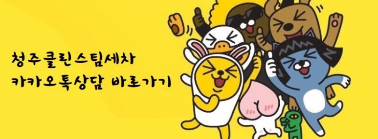 오송스팀손세차 이미지