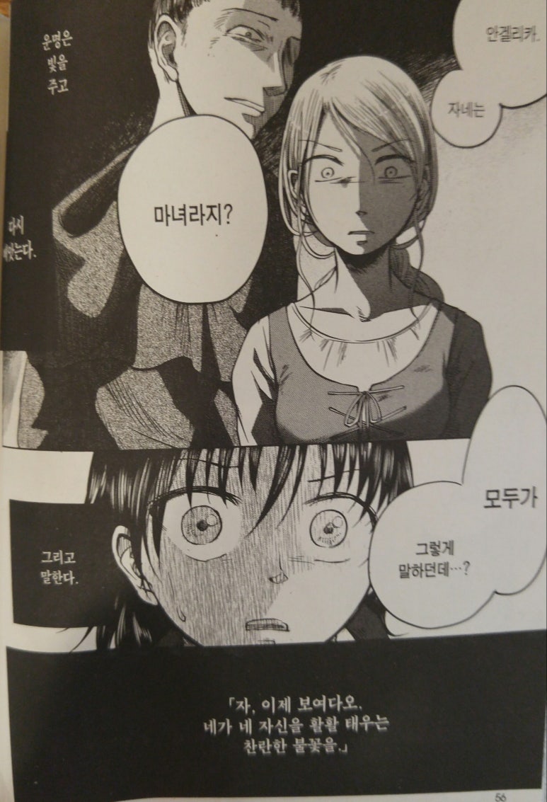 슈베스터 이미지