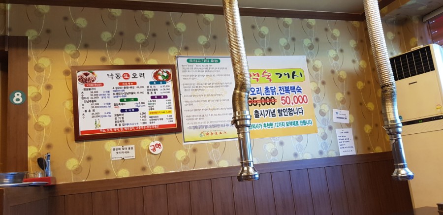 낙동생오리 이미지