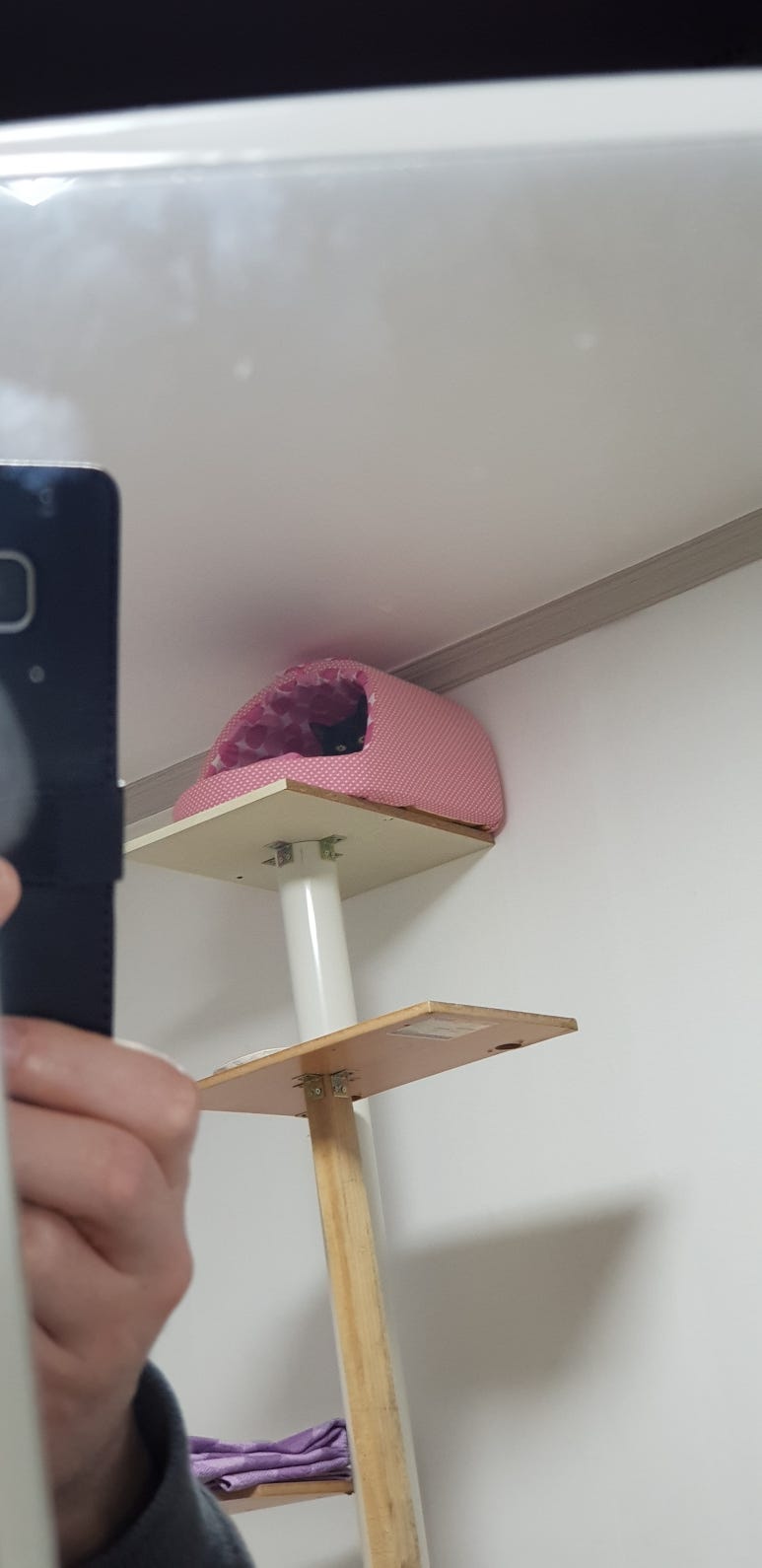 눈눈캣 이미지