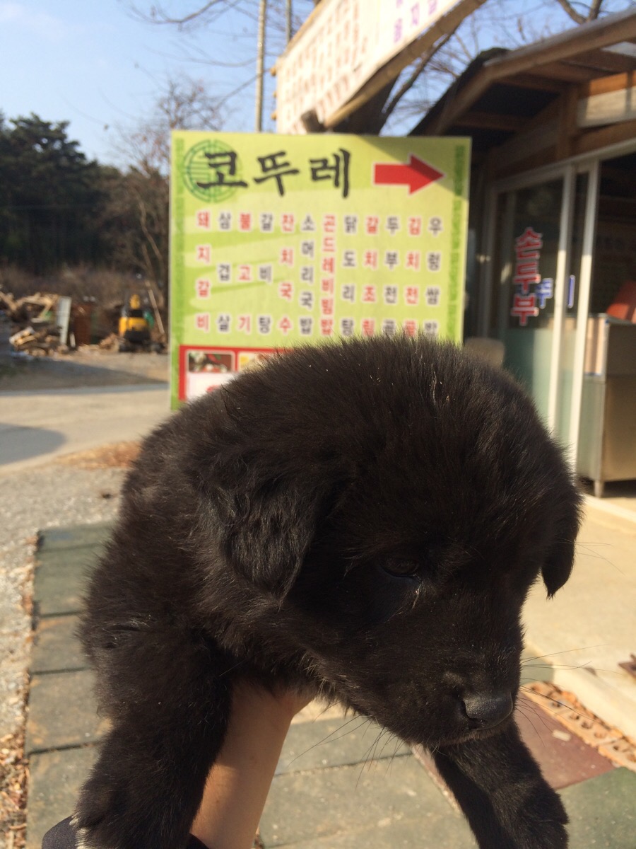 팔봉산 코뚜레 이미지