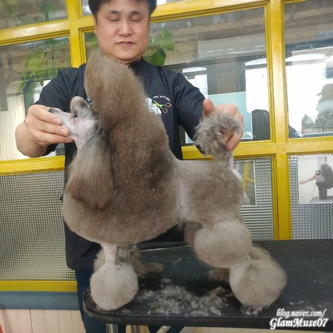 마이티잉글리쉬 이미지