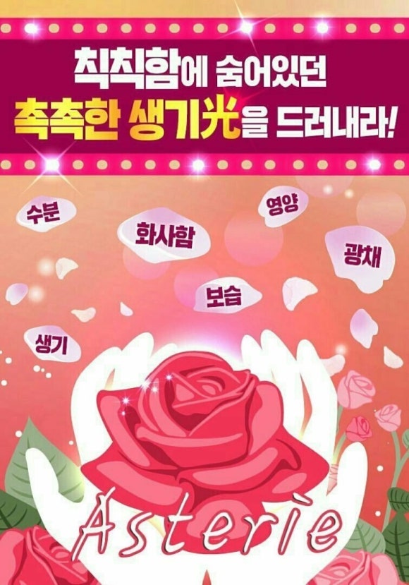 비비시스템 이미지