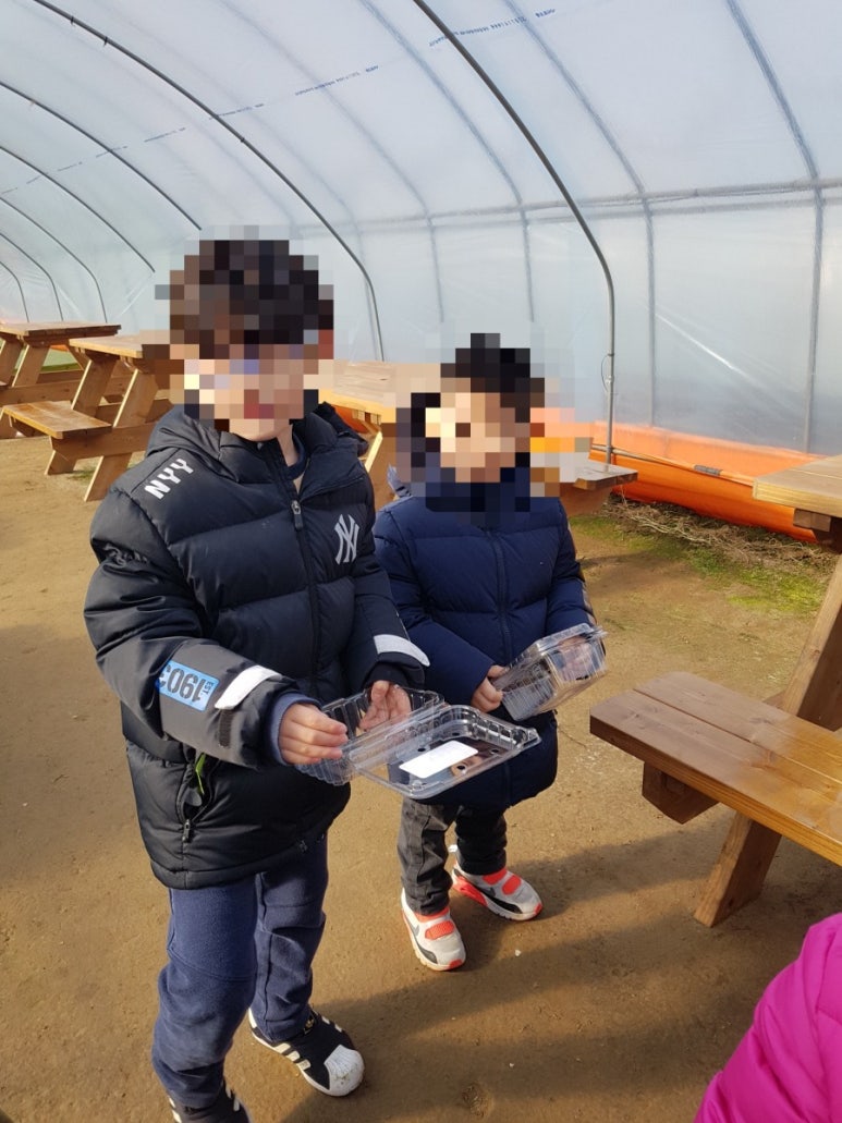 앙상블딸기농장 이미지