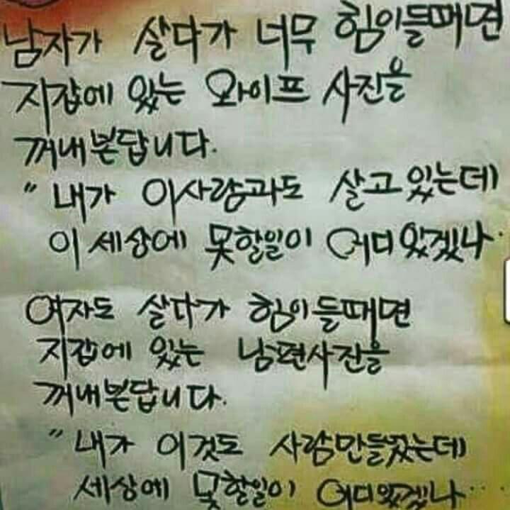 소담채 이미지