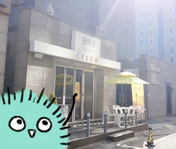 달싸롱 이미지