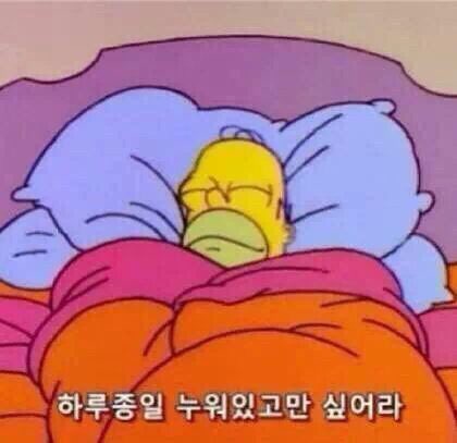 에델프로젝트 이미지