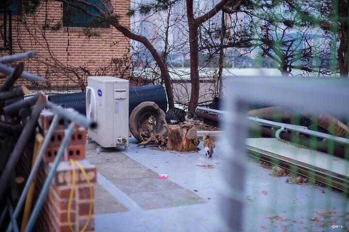 또만나 이미지