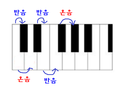 온음 이미지