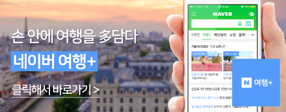 롯데관광플러스 이미지
