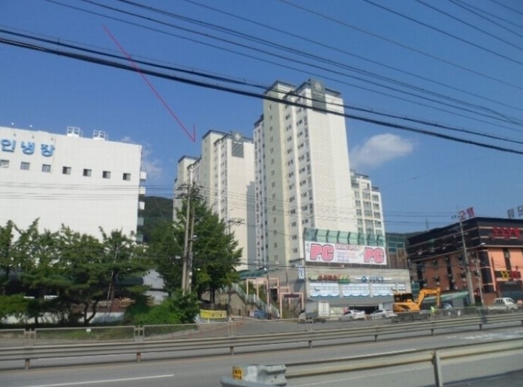스타501 이미지
