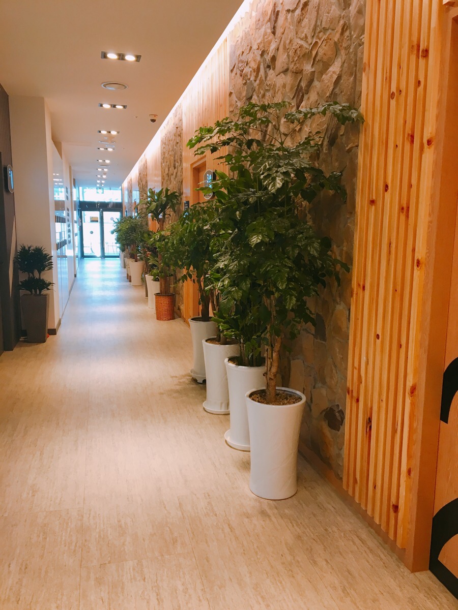 킹스크린골프존 이미지
