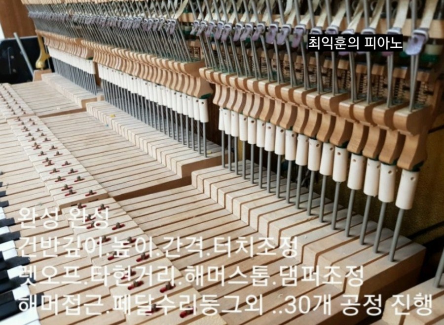 리폼넘버원 이미지