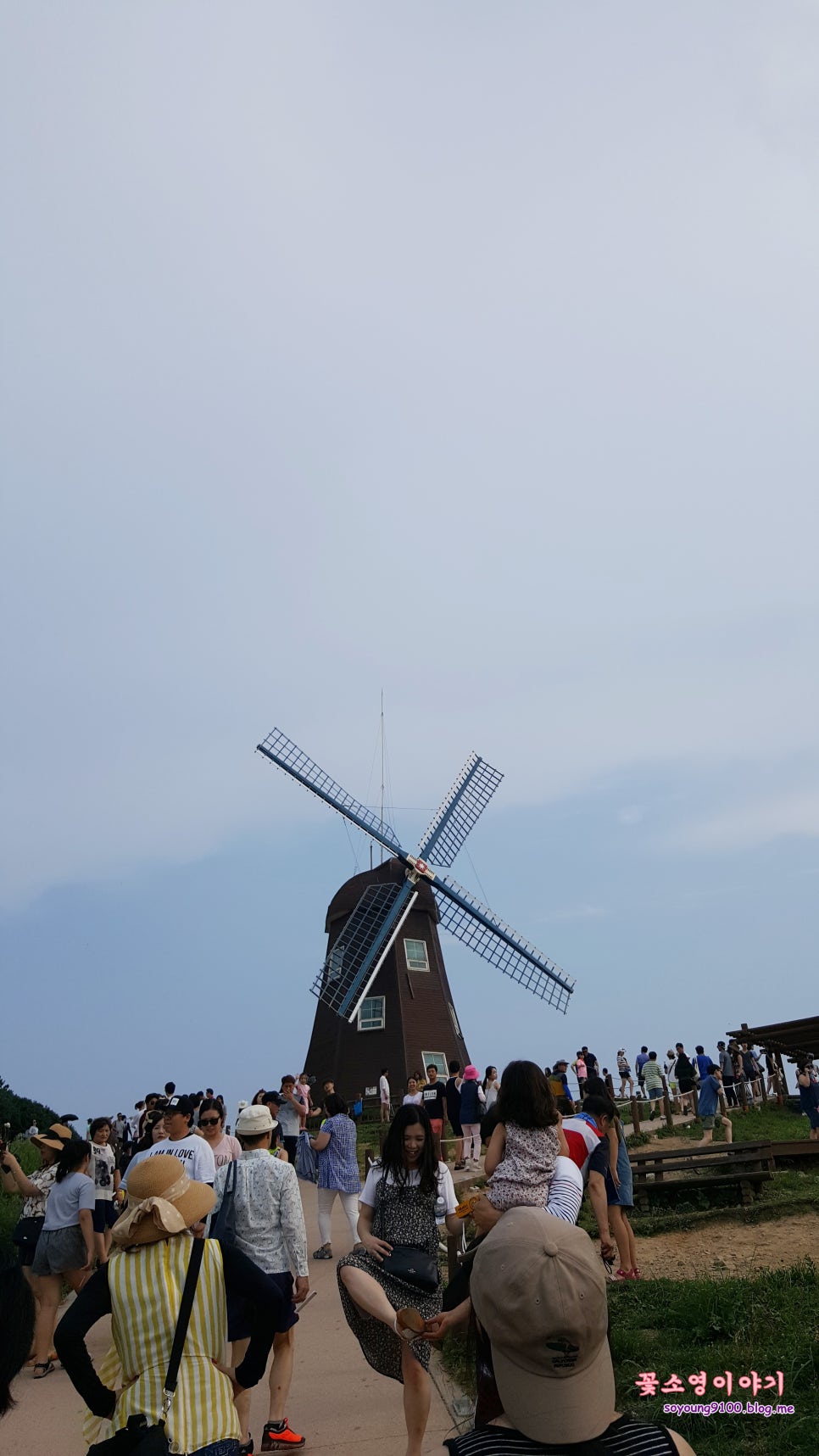 송월학횟집 이미지