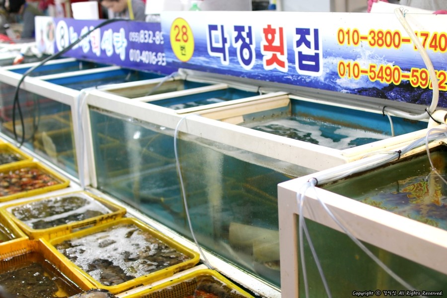 삼천포회센타 이미지