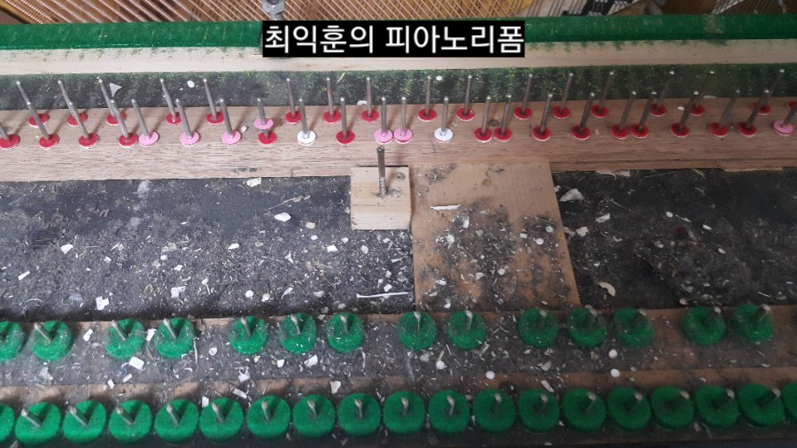 리폼넘버원 이미지