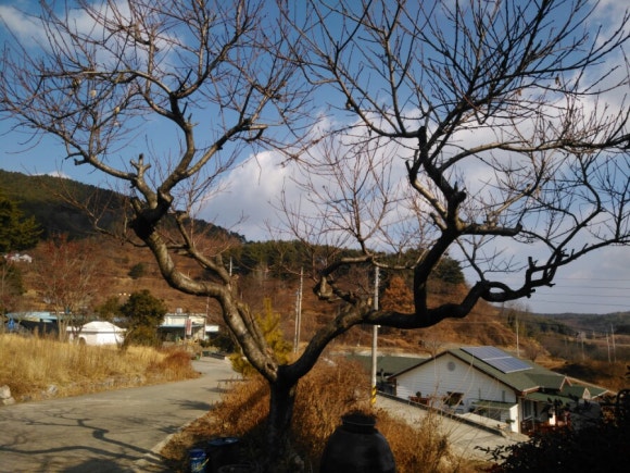 도혜당 이미지