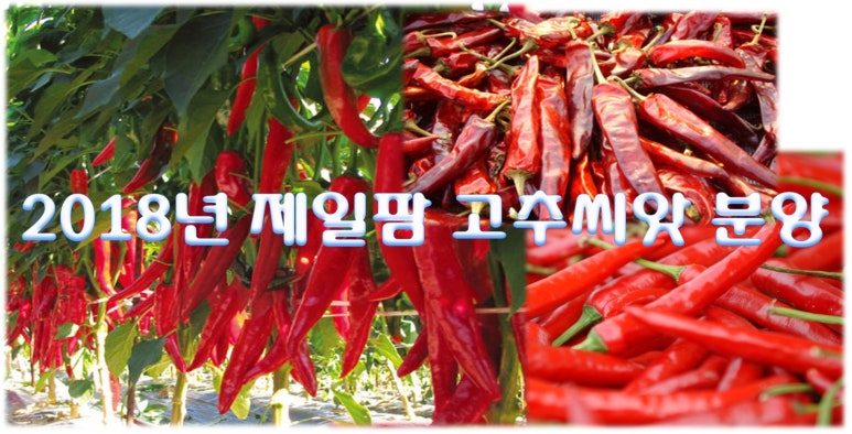장성종묘 이미지