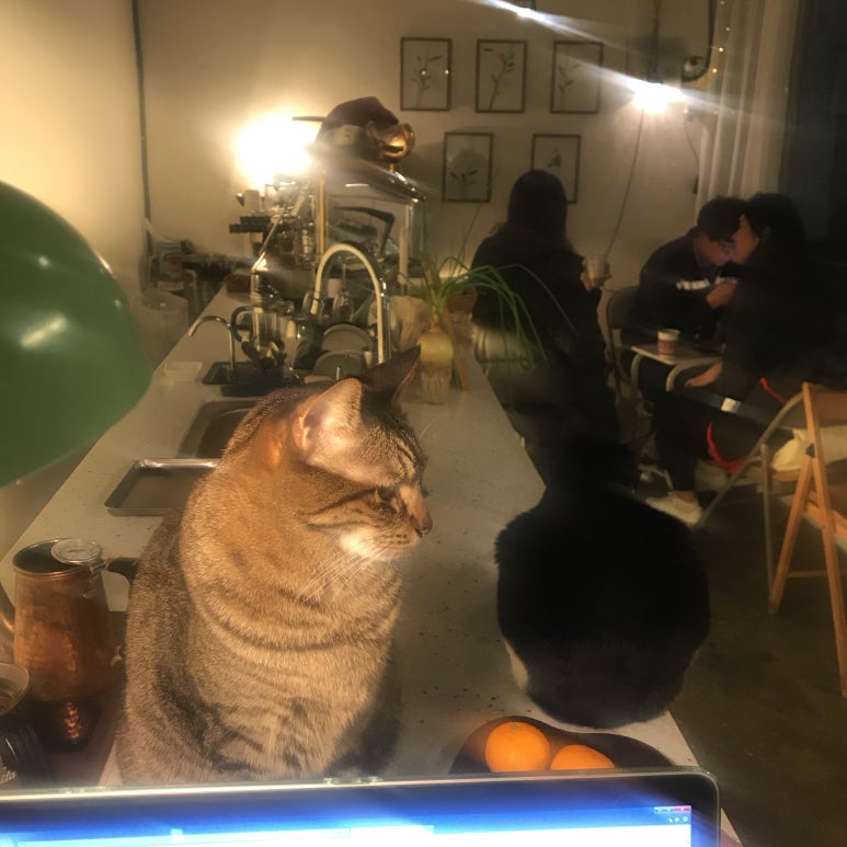 백설사 이미지