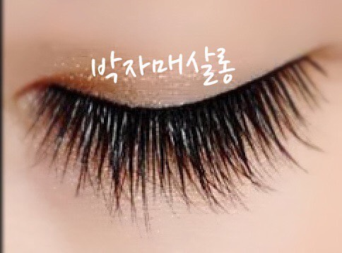 박자매살롱 이미지