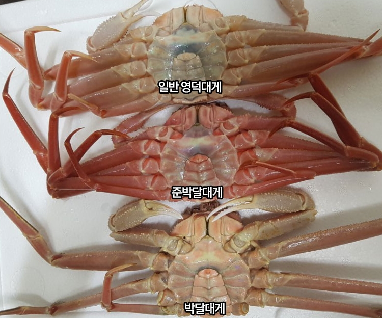 박달착한수산 이미지