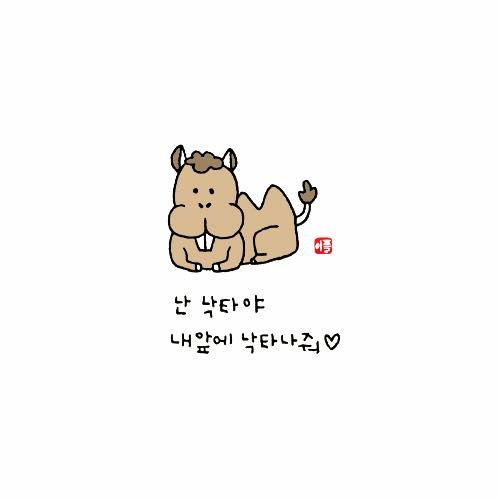 널;조화해 이미지