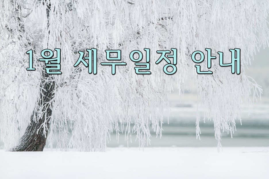 장원세무회계사무소 이미지