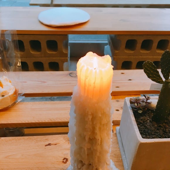 카페니모 이미지