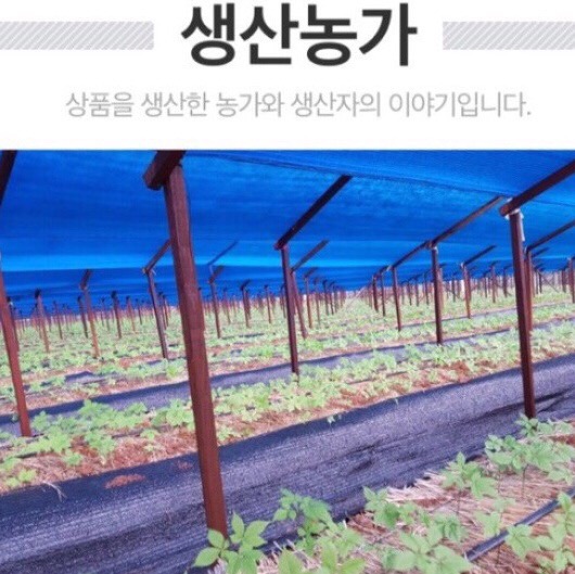 땅끝홍삼 이미지