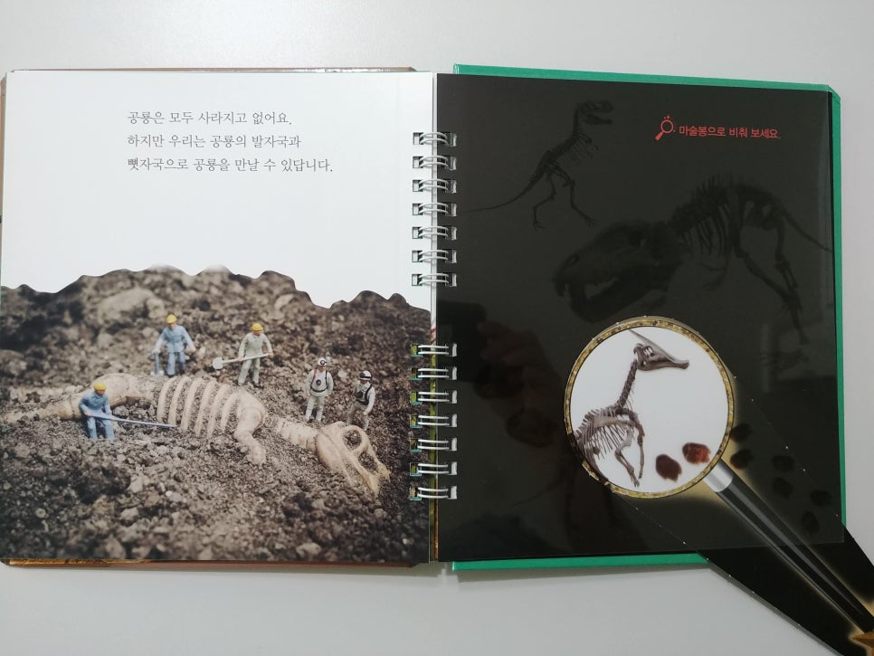 영인실사 이미지