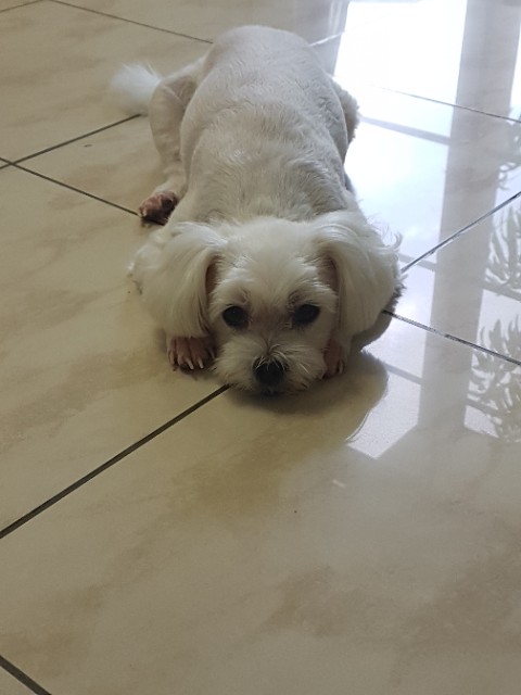 현아풀하우스 이미지
