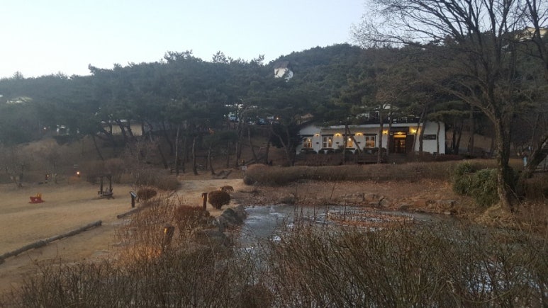 청풍오리 이미지