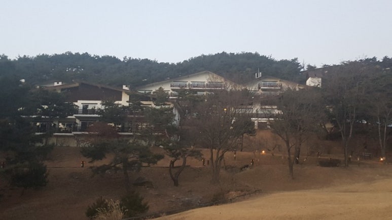청풍오리 이미지