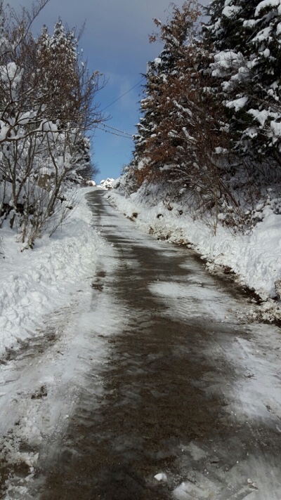 축령산휴림 이미지
