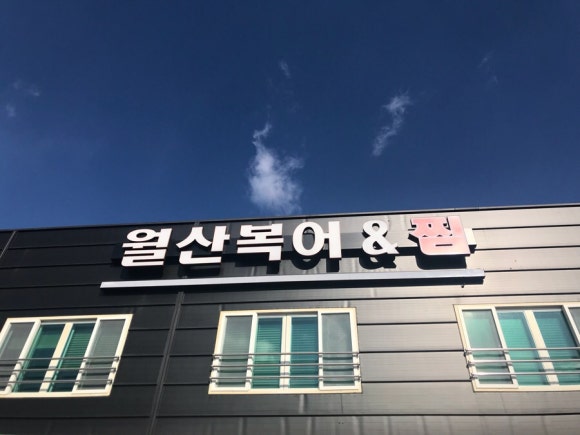 월산복어 이미지