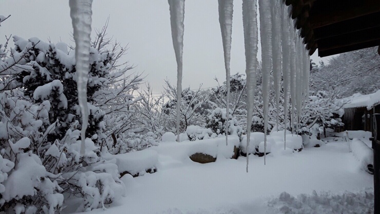 축령산휴림 이미지
