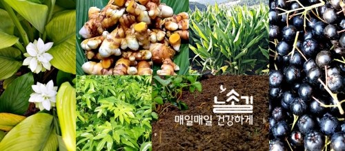 농업회사법인 팜스토어 이미지