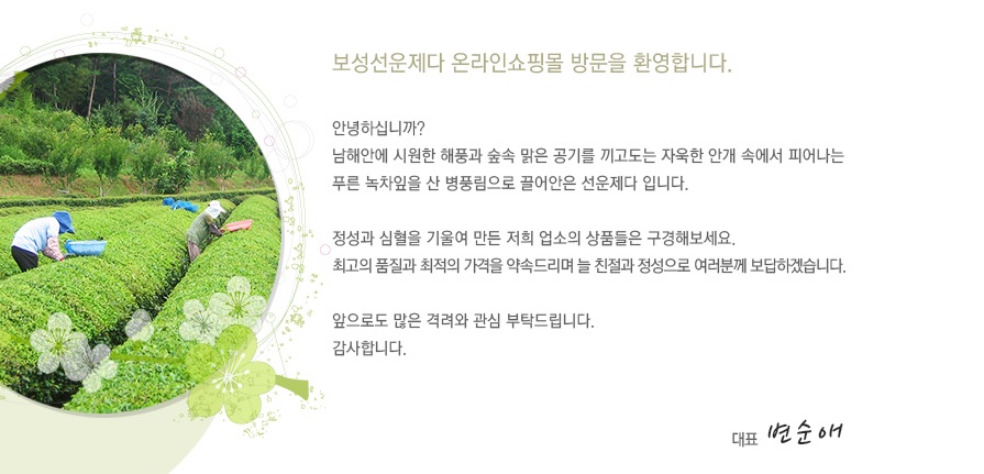 보성선운제다 이미지