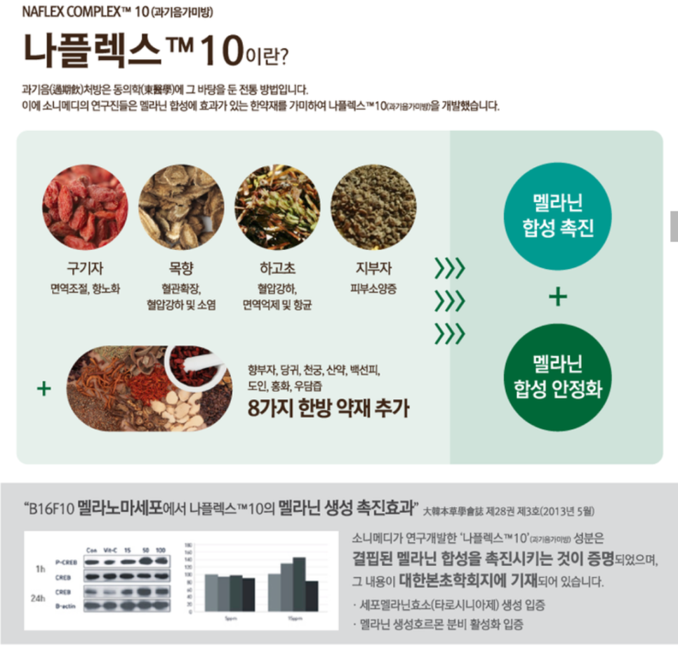 노마셀 이미지
