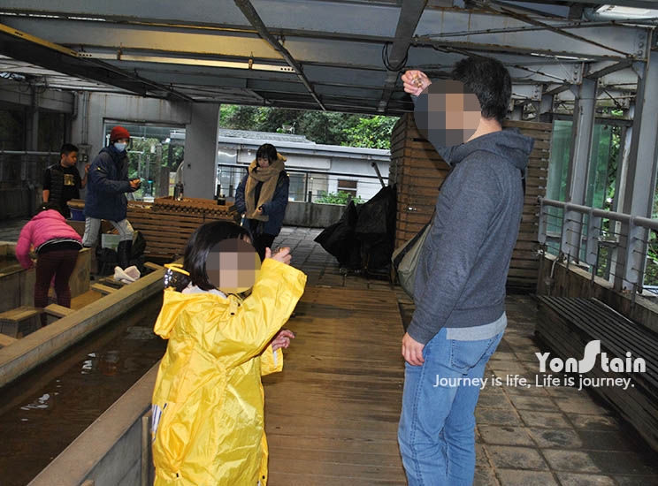사금식당 이미지